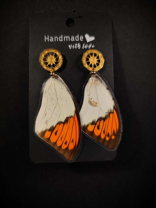 Boucles d&#039;oreilles ailes de papillon