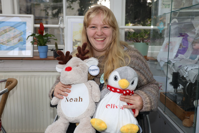 Christmas Zippie Toys