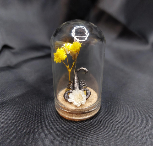 Mini-cloche scorpion jaune