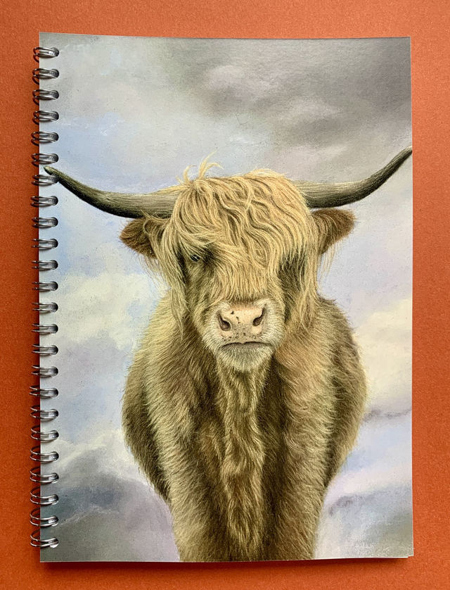 Notebook - Highland Cow