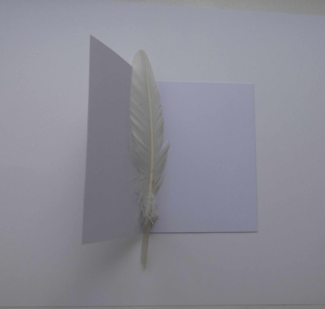 Bonnes fêtes de fin d'année en rose