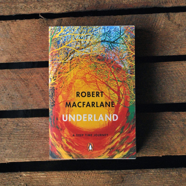 Underland: A Deep Time Journey by Robert Macfarlane
