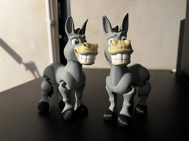 Donkey
