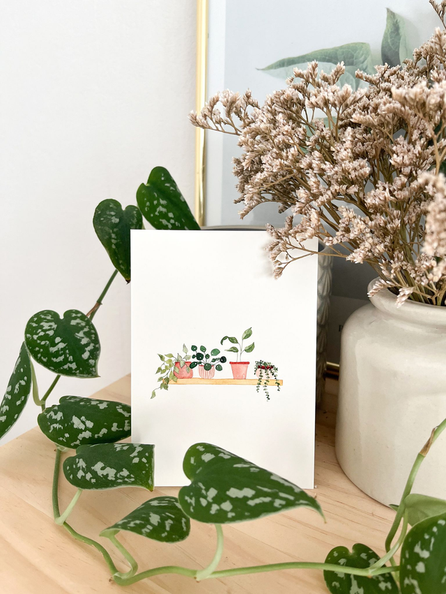 Illustration Petites plantes