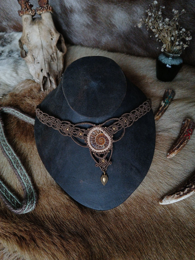 Mystère Terrestre – Ammonite