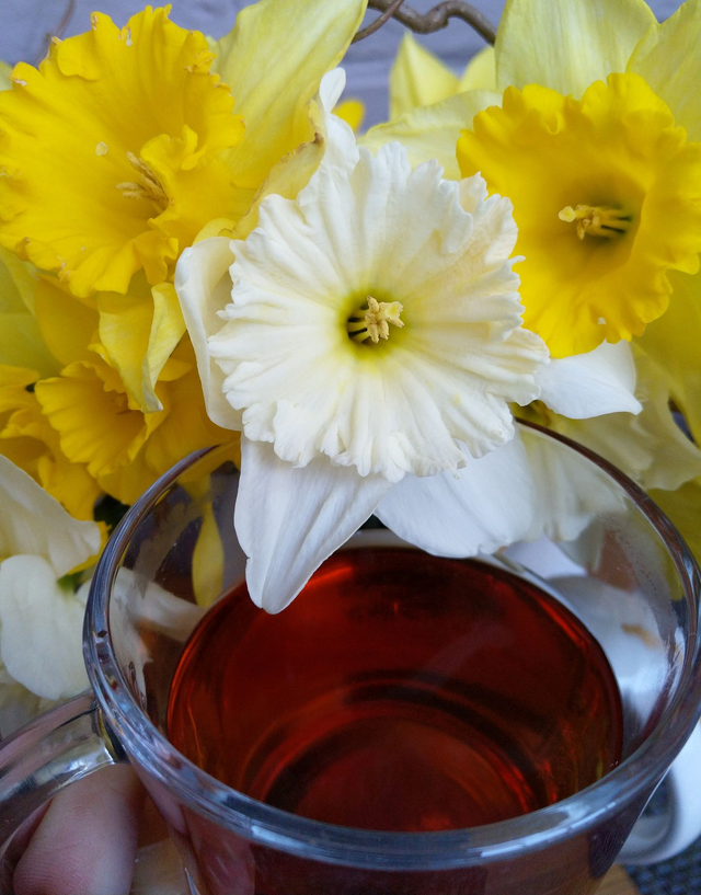 Geschenkbon - Gift voucher