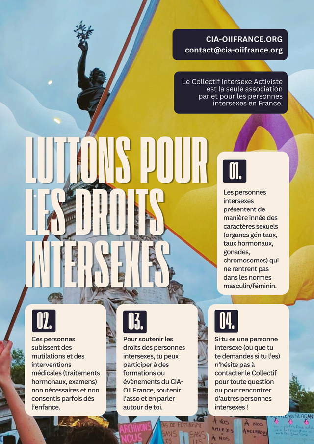 Affiche A2 Luttons pour les droits intersexes
