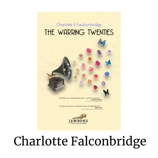 The Warring Twenties - Charlotte R Faulconbridge