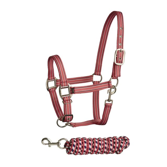 Bitz Stripe Two Tone Headcollar