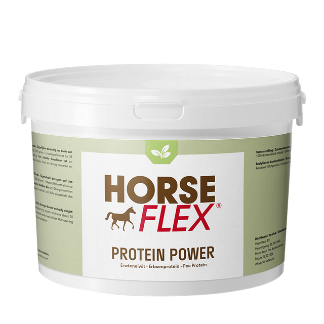 Protein Power (2500 g)