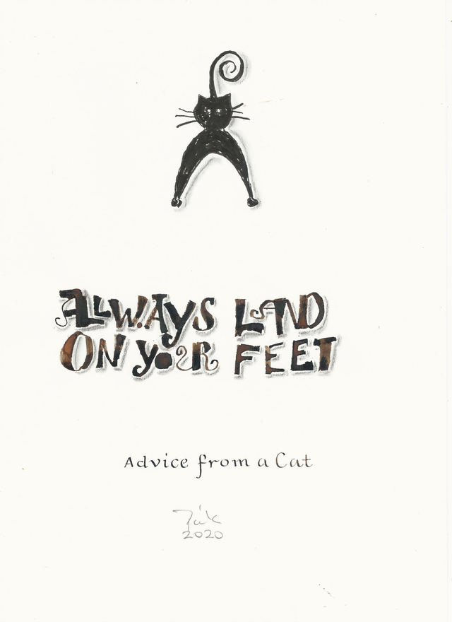 Kissojen viisauksia Always land on your feet