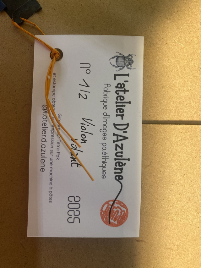 Violon volant — Tirage 1/12