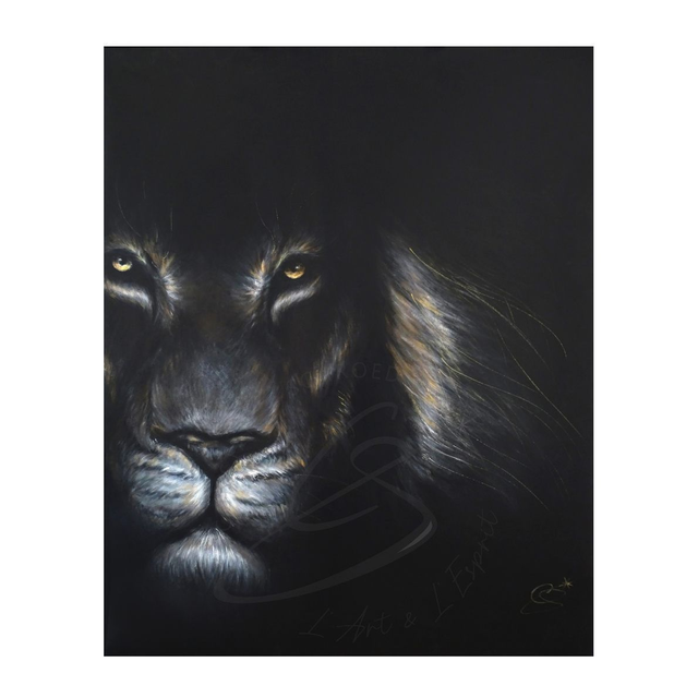 Lion Noir