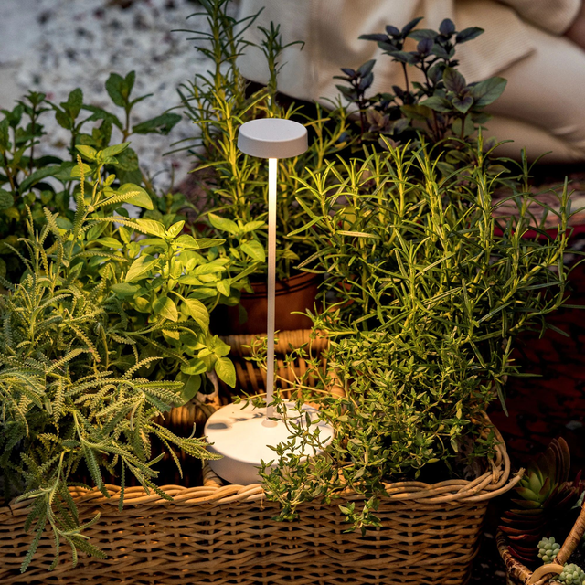 Zafferano Swap grande lampe de table 