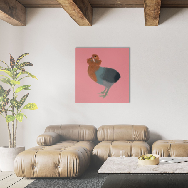 Araucana Rosa