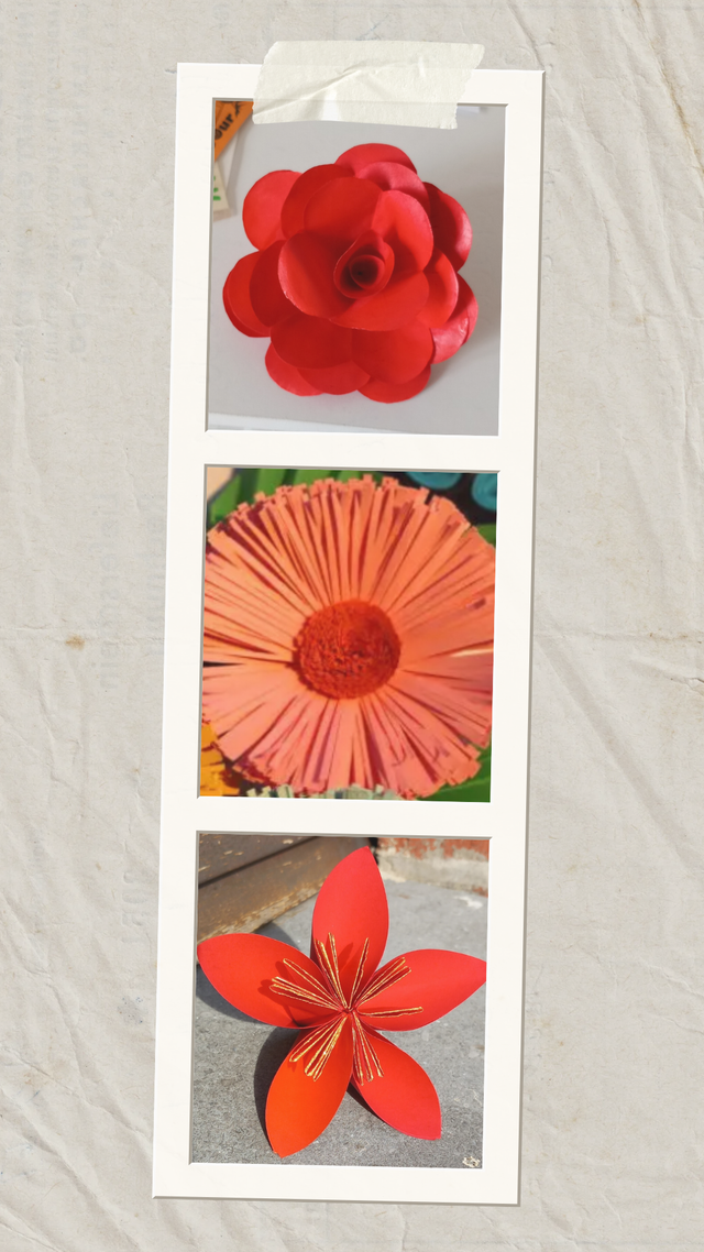 (10) 19 mai 2026 - Initiation à la création de fleurs en papier #2