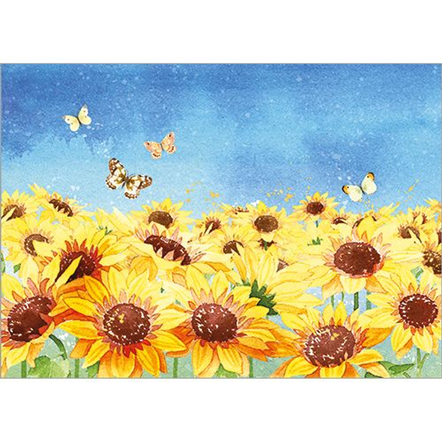 Field of Sunflowers CCUKR2