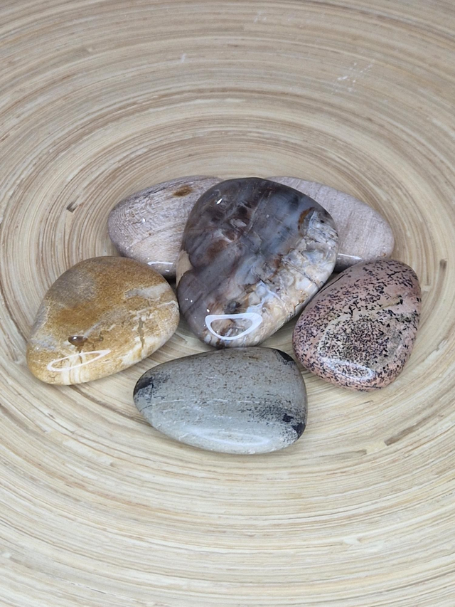 Bois pétrifié - Galet