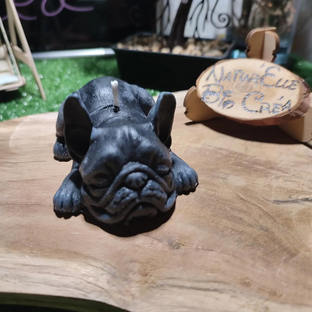 Bougie Bouledogue Français 