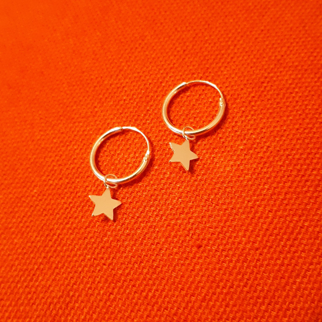 Hoop and Star Earrings