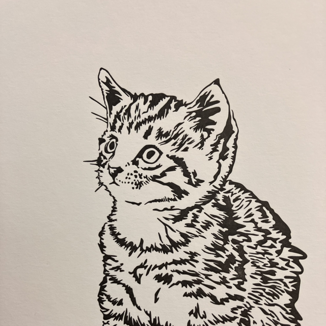 Traditional Letterpress Cats &amp; Dogs Kitten Time for Tea