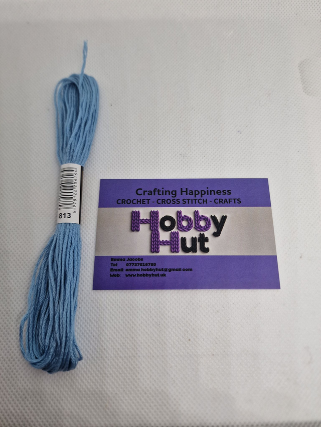 Embroidery Thread - 813