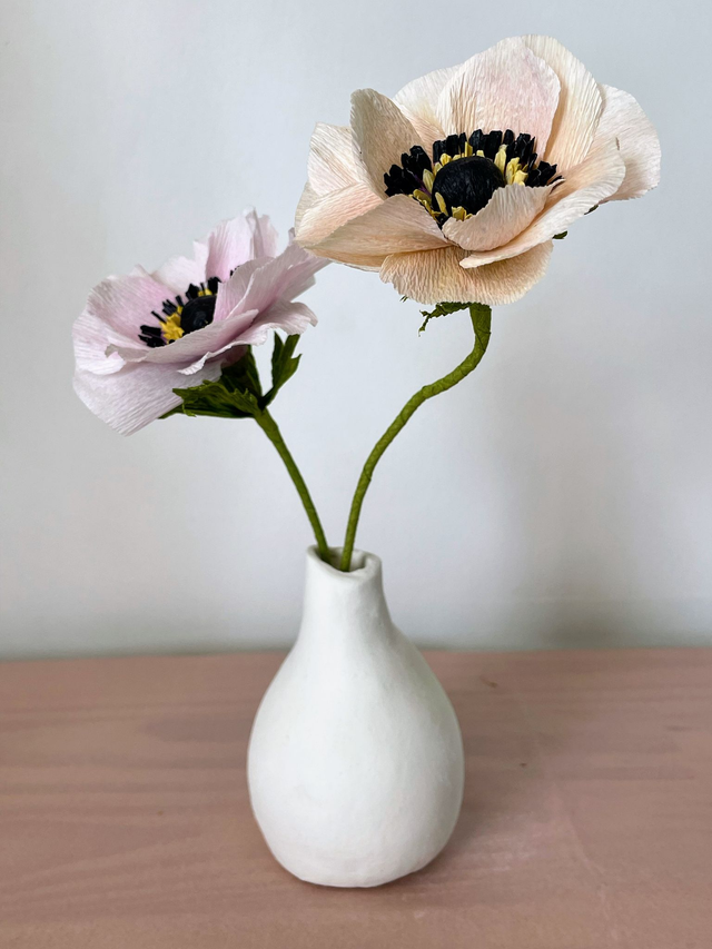 Anémone "Selma" avec son vase artisanal offert