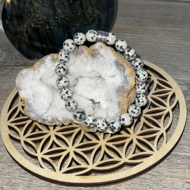 🧘‍♀️🐾Bracelet en Jaspe dalmatien 