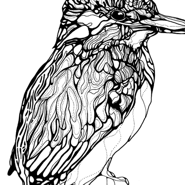 B&W A3 print - kingfisher