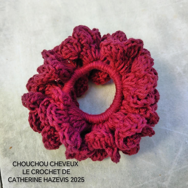 2025 CHOUCHOU CHEVEUX 