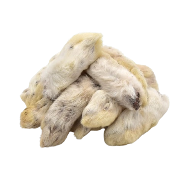 Patte de lapin