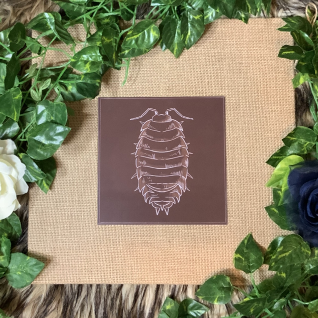 Square Print - Woodlouse