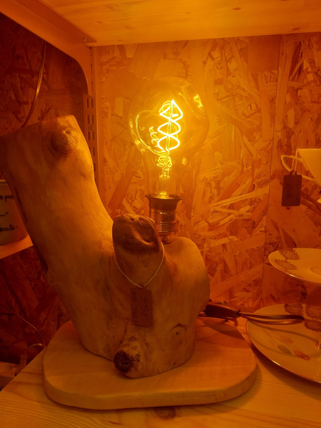 ESTEL_008 lampe bois flotté