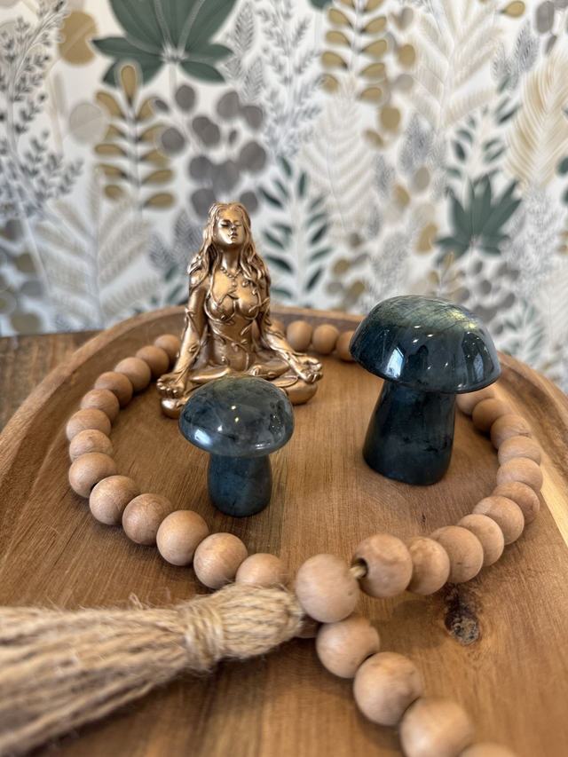 Champignons en Labradorite - Modèle au choix