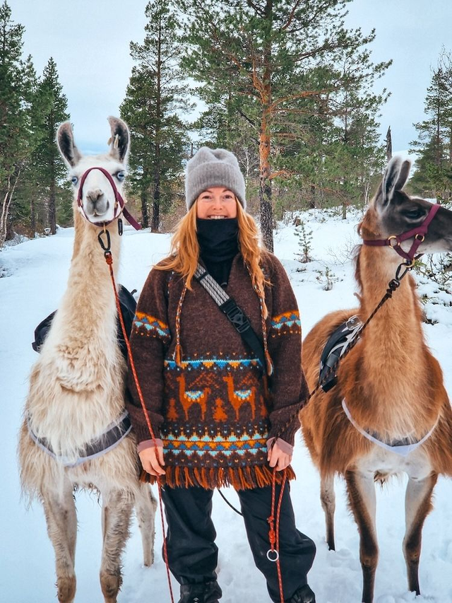 Llama Adventure Sweater Kit - Col 01 (Dark Brown Rauma Vams) - Wool & Pattern - Linka Neumann