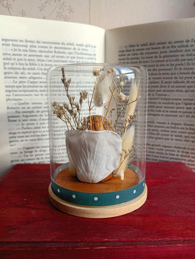 D11 mini crâne blanc