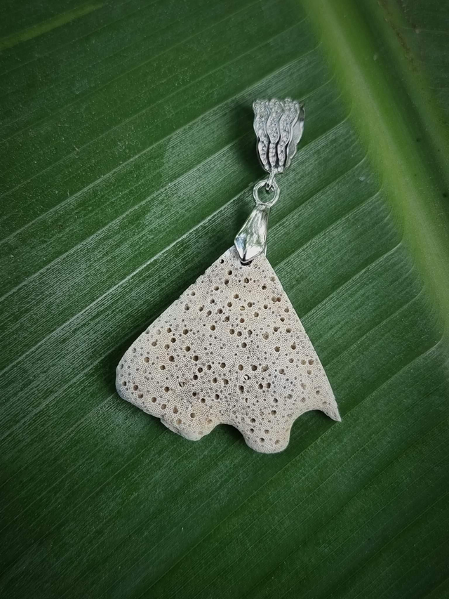 🇨🇵 Pendentif corail blanc brut