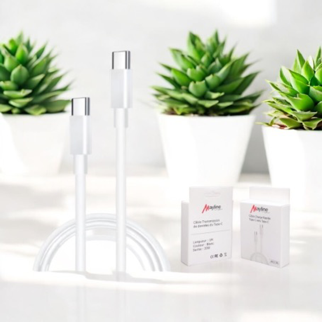 Kit Chargeur Câble USB-C / USB-C 20W ( IPhone - Samsung ) - Vrac