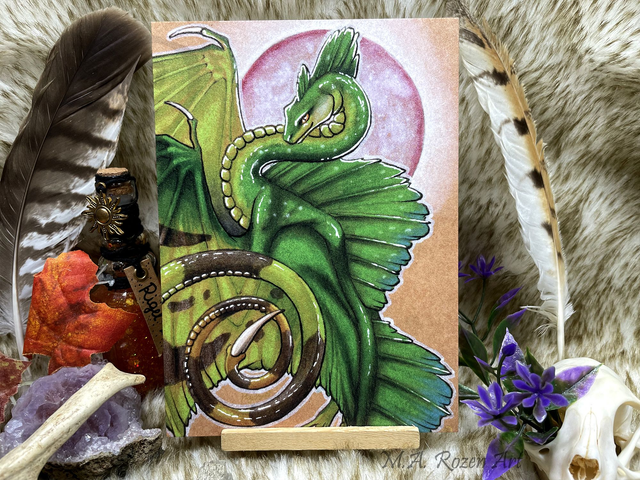 Basilic vert 13X18cm