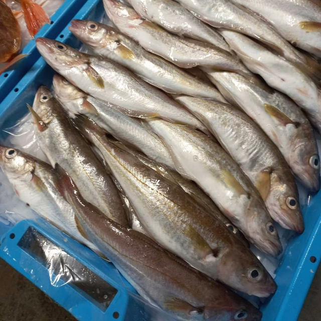 Merlan vidé - Lot de 4 pièces (1kg environ)