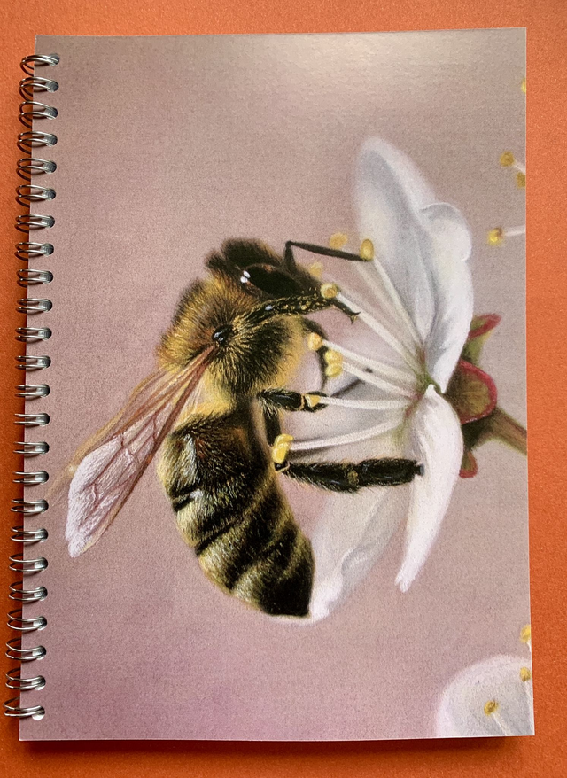 Notebook - Bee on Blossom