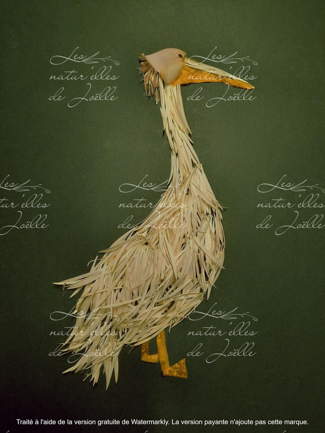 Pélican aux pattes courtes 20x30cm Papier classique 160g 