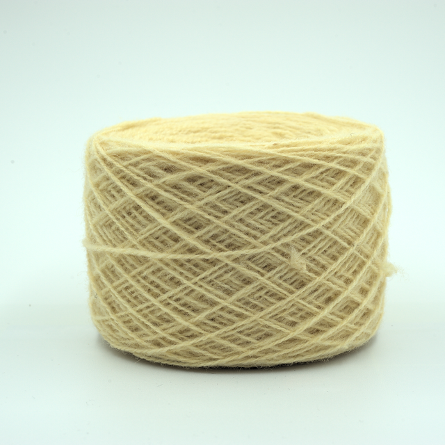 Belgolor #04 - Oignon -