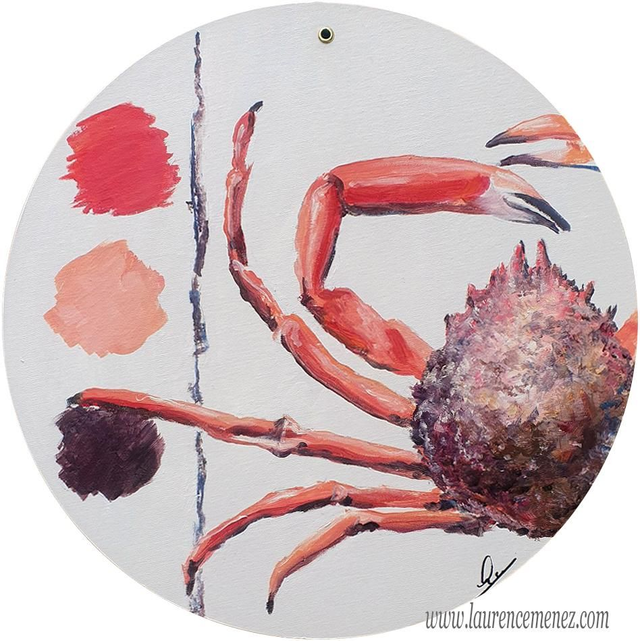 Araignée de Mer N°396