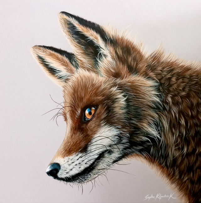 ‘Max’ Open Edition Giclee Print