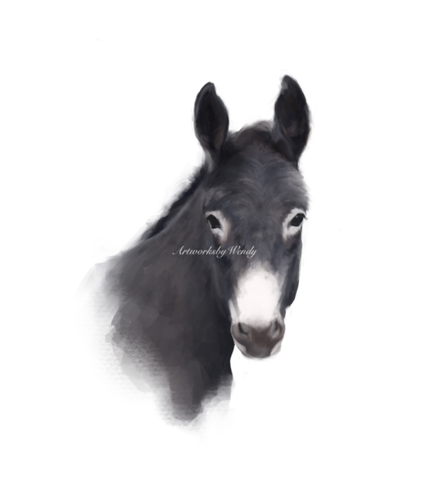 Dark Grey Donkey
