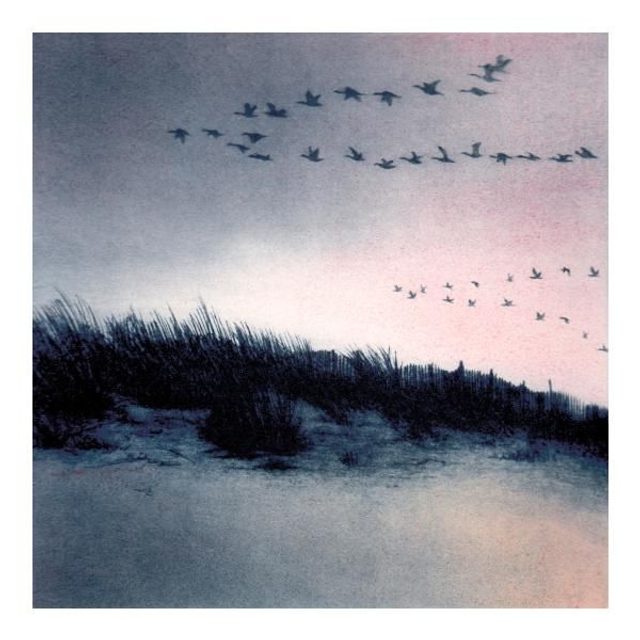  'Coastal Skeins' cards x 3