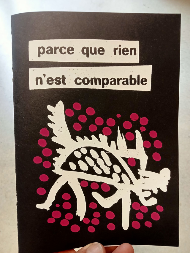 Fanzine collectif - Parce que rien n'est comparable -