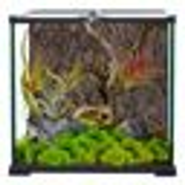REPTI PLANET MINI GLASS HABITAT