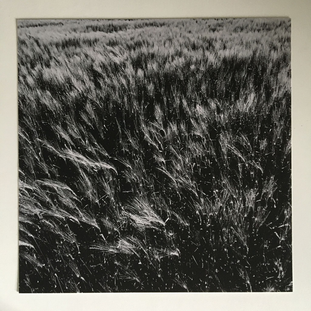 "Hélénite#124" - Tirage Photo FineArt (30x30 sans cadre)